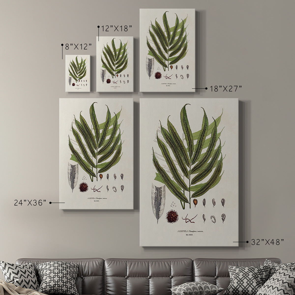 Botanical Society Ferns II Premium Gallery Wrapped Canvas - Ready to Hang