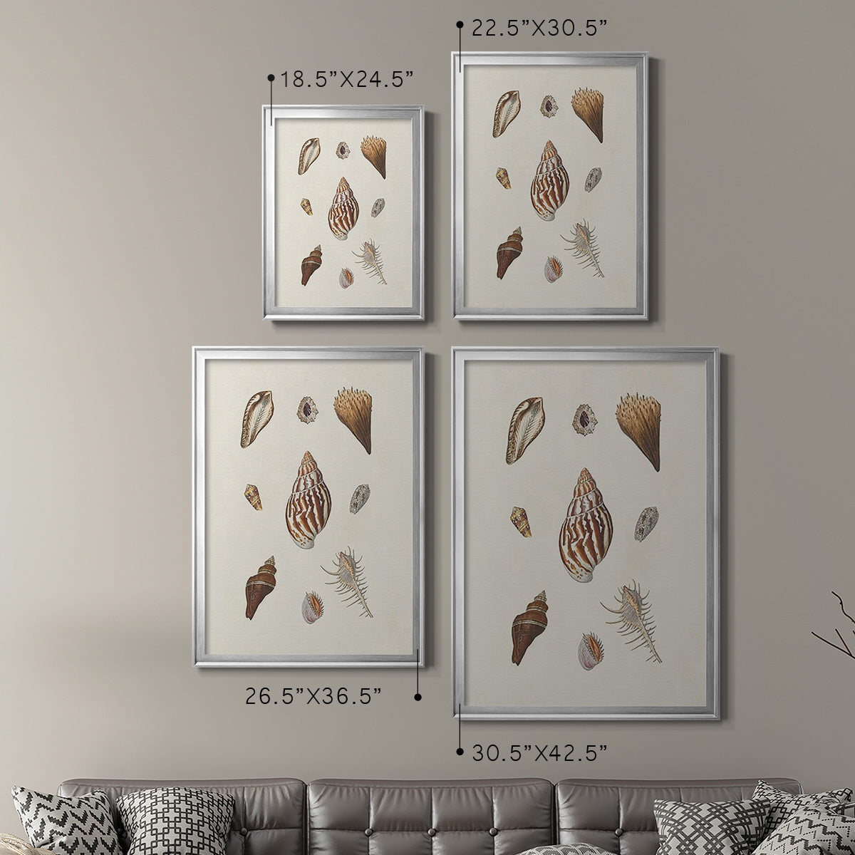 Knorr Shells & Coral IX Premium Framed Print - Ready to Hang