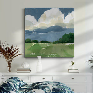 Spring Meadow Study I-Premium Gallery Wrapped Canvas - Ready to Hang