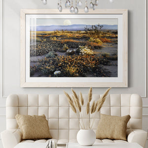 Anza Borrego Desert-Premium Framed Print - Ready to Hang