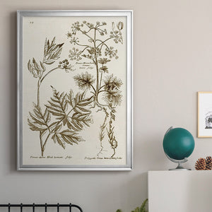 Sepia Botanical Journal III Premium Framed Print - Ready to Hang