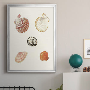 Pastel Knorr Shells VIII Premium Framed Print - Ready to Hang