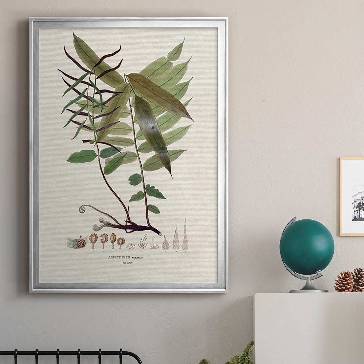 Botanical Society Ferns VI Premium Framed Print - Ready to Hang