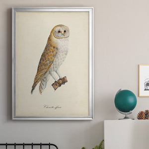 French Owls VI Premium Framed Print - Ready to Hang