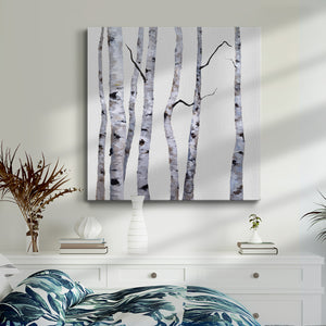 Birch Trees I-Premium Gallery Wrapped Canvas - Ready to Hang
