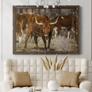 Longhorns-Premium Framed Canvas - Ready to Hang