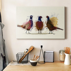 Pheasant Trio Premium Gallery Wrapped Canvas - Ready to Hang