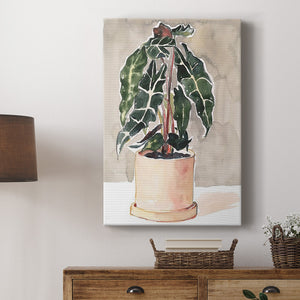 Potted Houseplant I Premium Gallery Wrapped Canvas - Ready to Hang