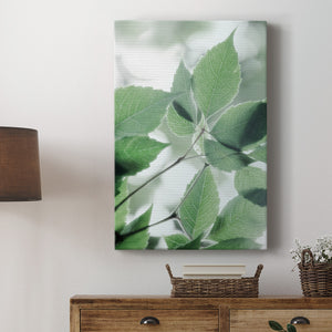 Fields of Green I - Canvas Art Print