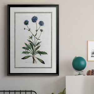 Soft Botanical II Premium Framed Print - Ready to Hang