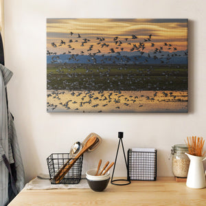 Sunset Flight Premium Gallery Wrapped Canvas - Ready to Hang