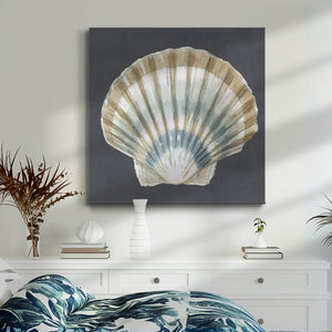 Shell on Slate III-Premium Gallery Wrapped Canvas - Ready to Hang