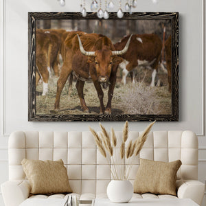 Longhorns-Premium Framed Canvas - Ready to Hang