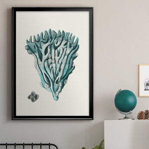Antique Coastal Coral X Premium Framed Print - Ready to Hang