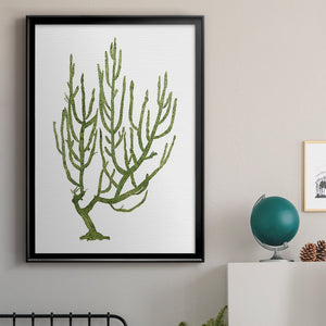 Coral Souvenirs III Premium Framed Print - Ready to Hang