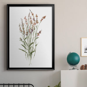 Dainty Botanical II Premium Framed Print - Ready to Hang