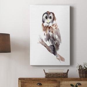 Barred Owl Impressions II Premium Gallery Wrapped Canvas - Ready to Hang