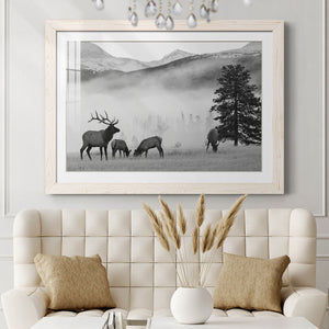 Mountain Elk-Premium Framed Print - Ready to Hang