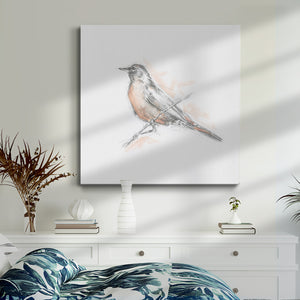 Robin Bird Sketch II-Premium Gallery Wrapped Canvas - Ready to Hang