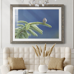 Evergreen Perch-Premium Framed Print - Ready to Hang