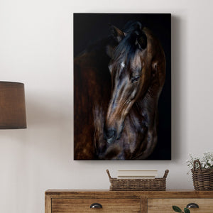 Sunlit Horses I Premium Gallery Wrapped Canvas - Ready to Hang