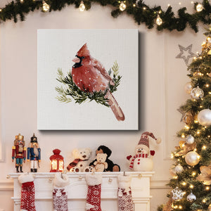 Cardinal with Snow II-Premium Gallery Wrapped Canvas - Ready to Hang