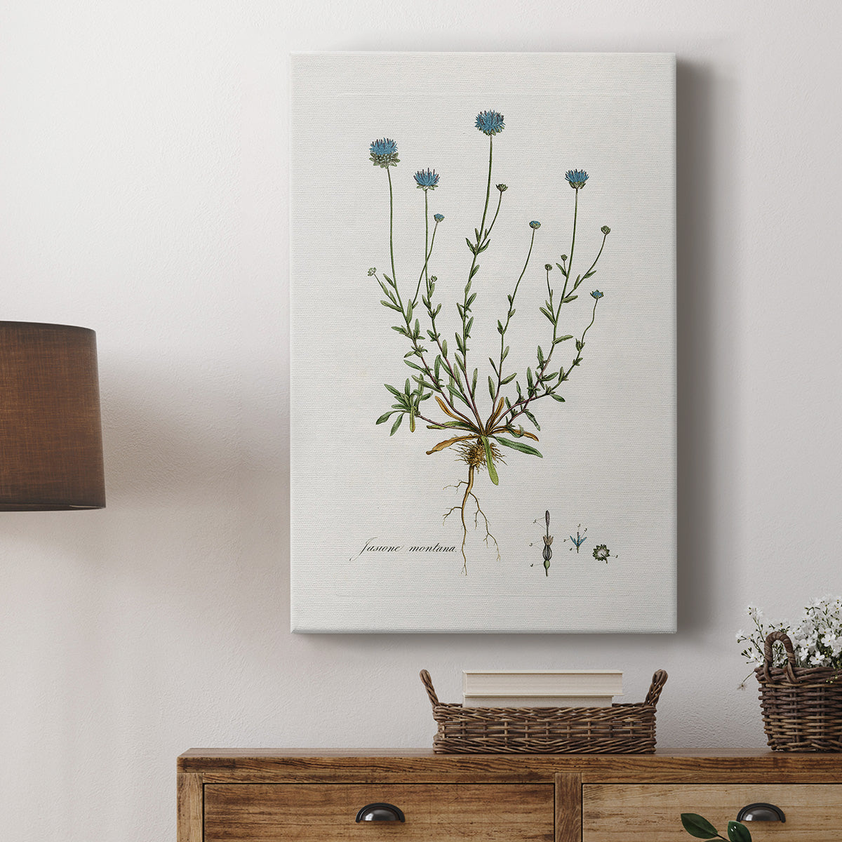 Bellflower Study Premium Gallery Wrapped Canvas - Ready to Hang