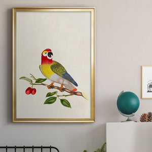 Bird in Habitat VI Premium Framed Print - Ready to Hang