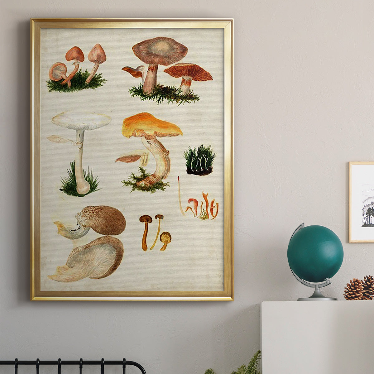 Mushroom Species IV Premium Framed Print - Ready to Hang