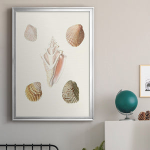 Pastel Knorr Shells IX Premium Framed Print - Ready to Hang