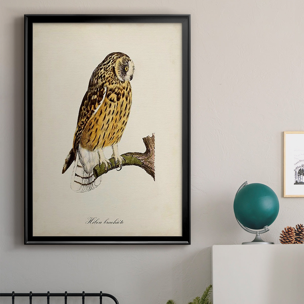 French Owls II Premium Framed Print - Ready to Hang