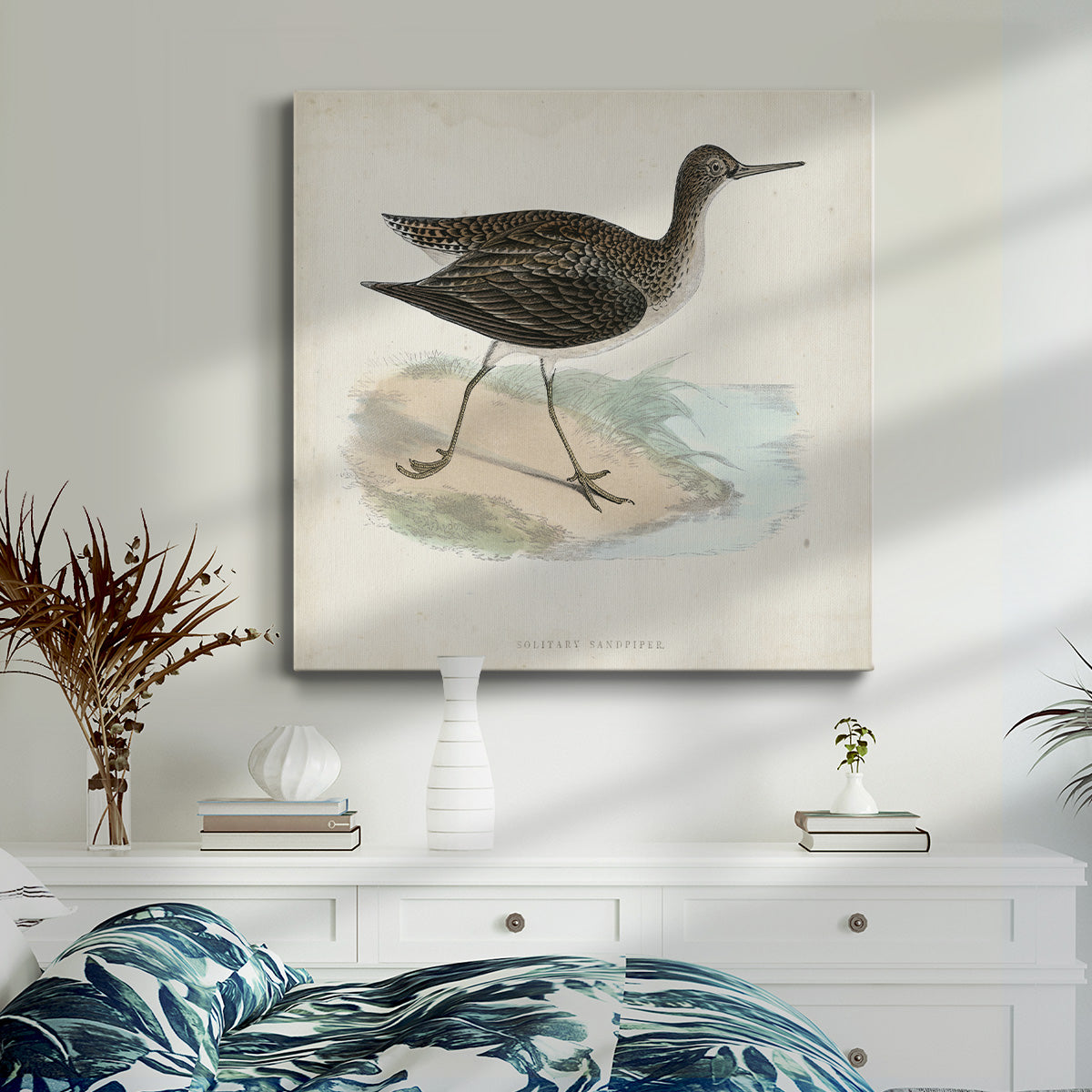 Morris Sandpipers VII-Premium Gallery Wrapped Canvas - Ready to Hang