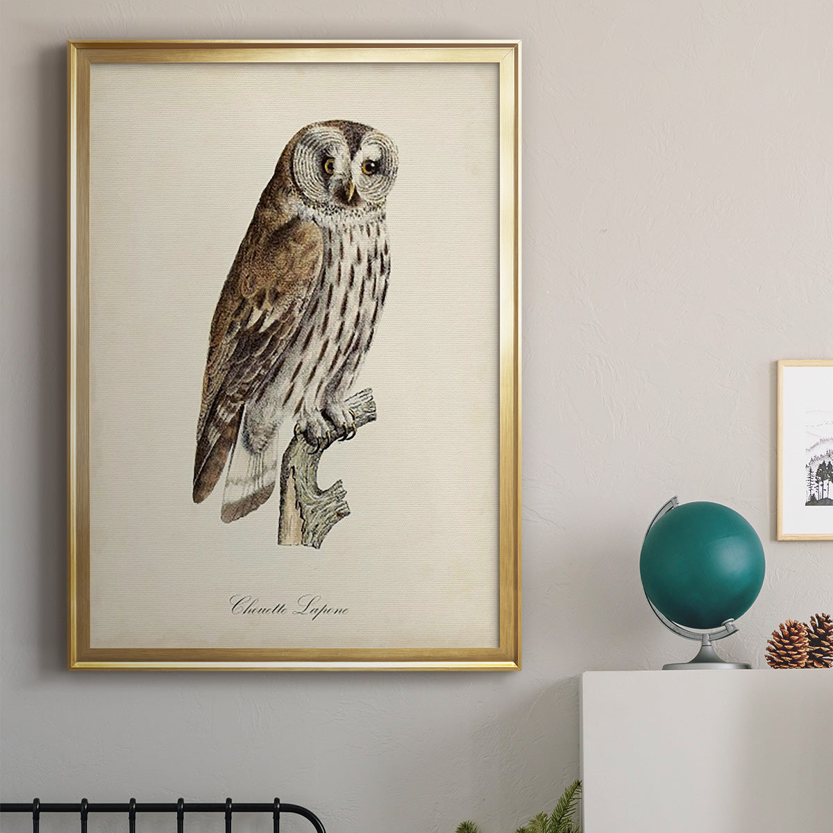 French Owls III Premium Framed Print - Ready to Hang