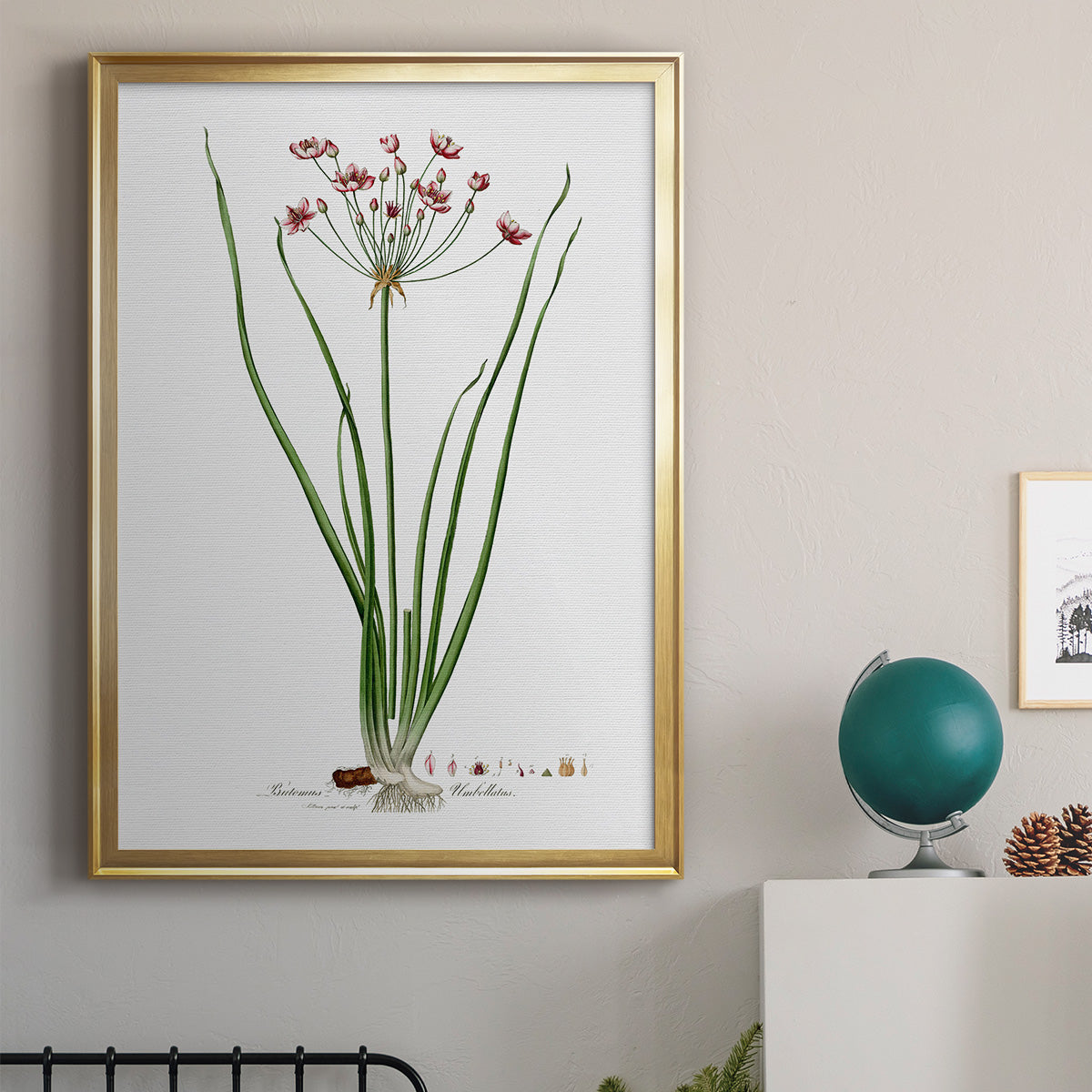 Rose Botanical II Premium Framed Print - Ready to Hang