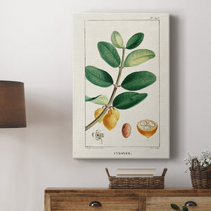 Turpin Tropical Botanicals V Premium Gallery Wrapped Canvas - Ready to Hang