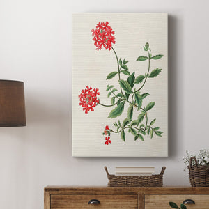 Flowers of the Seasons XI Premium Gallery Wrapped Canvas - Ready to Hang