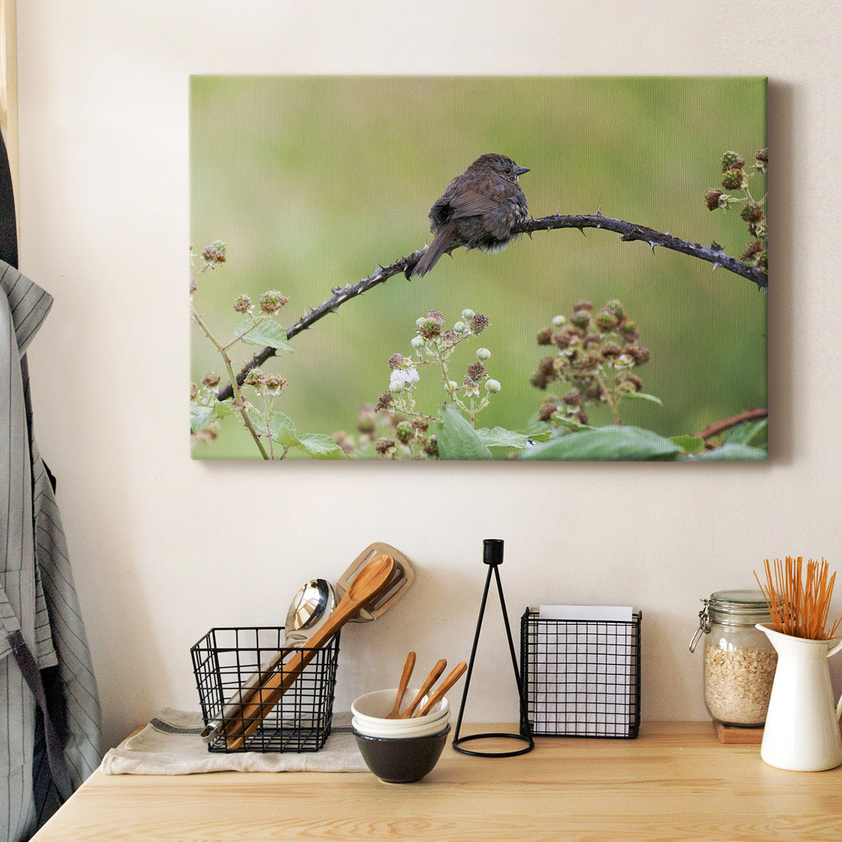 Resting Sparrow Premium Gallery Wrapped Canvas - Ready to Hang