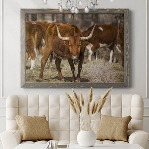 Longhorns-Premium Framed Canvas - Ready to Hang