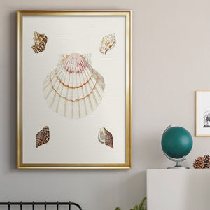 Pastel Knorr Shells IV Premium Framed Print - Ready to Hang