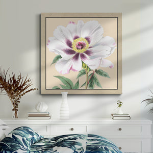 Peony Collection VI-Premium Gallery Wrapped Canvas - Ready to Hang