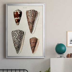 Cone Shell Collection I Premium Framed Print - Ready to Hang