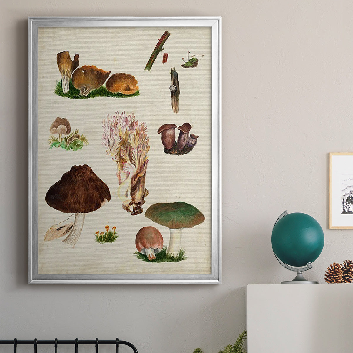 Mushroom Species IX Premium Framed Print - Ready to Hang