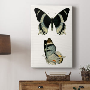 Antique Blue Butterflies I Premium Gallery Wrapped Canvas - Ready to Hang