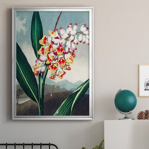 Temple of Flora VII Premium Framed Print - Ready to Hang