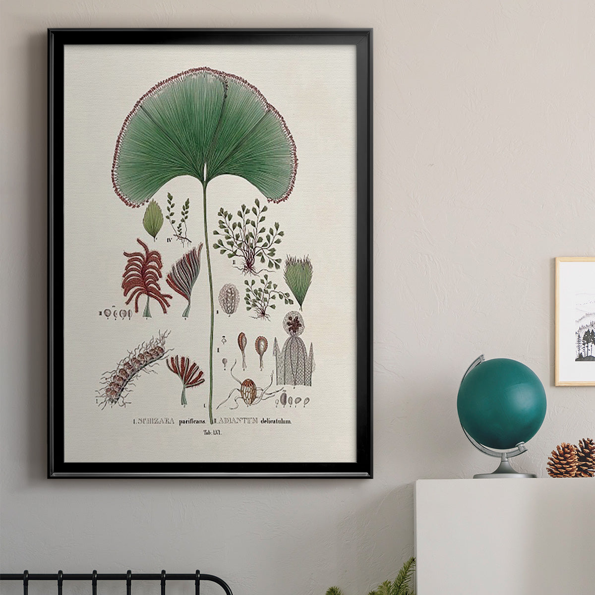 Botanical Society Ferns III Premium Framed Print - Ready to Hang