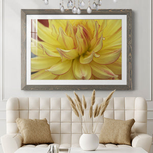Blooms I-Premium Framed Print - Ready to Hang