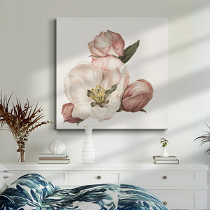 Enlightenment Blossom IV-Premium Gallery Wrapped Canvas - Ready to Hang