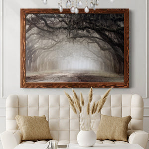 Timeless Plantation Drive-Premium Framed Canvas - Ready to Hang