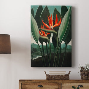 Temple of Flora IV Premium Gallery Wrapped Canvas - Ready to Hang