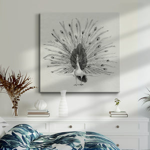 Ebony Plumed Peacock II-Premium Gallery Wrapped Canvas - Ready to Hang